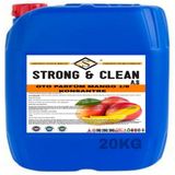 Oto Parfum Konsantre 1/8 Mango Kokulu 20Kg