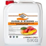 Oto Parfum Konsantre 1/8 Mango Kokulu 5Kg