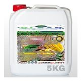 OTO PARFÜM MANGO KOKULU 5KG