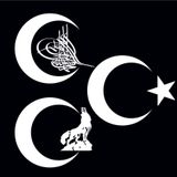 Oto sticker 3 hilal bozkurt osmanlı turası Ay yıldız stickeri