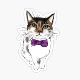 Oto Ufak Bebek Kedi Araba Sticker Etiket Renkli V3