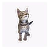 Oto Ufak Bebek Kedi Araba Sticker Etiket Renkli V4