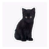 Oto Ufak Bebek Kedi Araba Sticker Etiket Renkli V6
