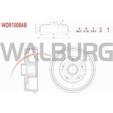 Otoco Dacıa Duster Fren Kampanası Arka Rulmanlı Abs Okuyuculu 5 Delik 260,5X61,93X228,5X92 432008310R