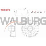 Otoco Renault 9 1.4 1985-2000 / Renault 11 1.7 1983-1995 Fren Kampanası Arka Rulmanlı 4 Delik 7702254257