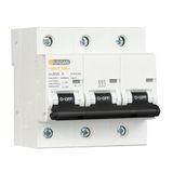 Otomatik Sigorta 10kA 3 Kutup Tipi 80A (27mm)