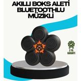 Ototechparca Ev Tipi Akıllı Boks Duvar Paneli Müzikli Bluetoothlu Refleks Geliştirme Cihazı