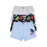 Öts Erkek Çocuk Boxer 3'lü Baskılı (%96 Pamuk -%4 Elastan), 7367-3, Renkli, 1-2 Yaş