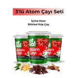 Otsa 3X Zencefil Özlü, Hibiskus, Tarçın Ve Zerdeçal Harmanlı, Doğal Ve Enerji Verici Atom Çayı