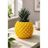 Otscraft Studio Ananas Formlu Sukulent Saksısı I Kaktüs Saksısı