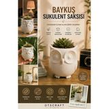 Otscraft Studio Baykuş Figürlü Sukulent Saksısı 3D Baskı Dekoratif Mini Saksı Masaüstü & Ofis Dekoru