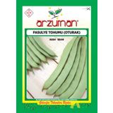 OTURAK FASULYE TOHUMU GINA 50 GR TOHUM
