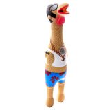 Outward Hound Petstages 69501M Earl - Lateks Tavuk - Squeaker ile Köpek Oyuncak - L, Çok Renkli, 1 Adet