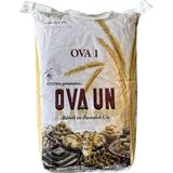 Ova Un Ova1 5kg Pastaböreklik Un - 5,05 kg