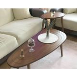 Oval Modern Orta Sehpa