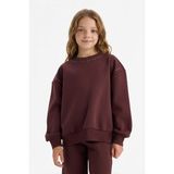 Overshirt Fit Taşlı İçi Yumuşak Tüylü Sweatshirt Kız Çocuk