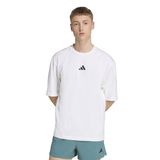 Oversize Erkek Beyaz Antrenman T-Shirt JV9683