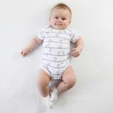 Owli Bebek Body Kısa Kol Early Birds - 2 Yaş - Beyaz - Gri
