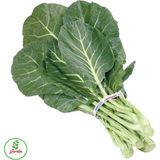 Oxe Garden Kara Lahana Mancar Tohumu 100 'Li Doğal Tohum Yerli Bahçe İçin