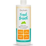 Oxyfresh Ağız Bakım Suyu 473 ml Alkolsüz Naneli Formül ile Kötü Nefes Önleyici