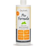 Oxyfresh Çinkolu Ağız Bakım Suyu 473 ml Ferah Nane Aromalı Antibakteriyel Plak ve Tartar Önleyici