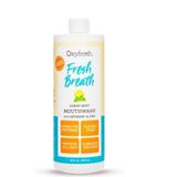 Oxyfresh Florürsüz Nane Limon Ağız Bakım Suyu 473 ml A-007216