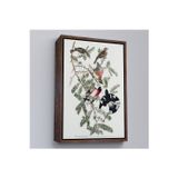 Oxyteez Ahşap Çerçeveli John James Audubon - Gül Göğüslü Kocabaş Tablo - Rose-Breasted Grosbeak-8043