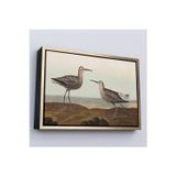 Oxyteez Ahşap Çerçeveli John James Audubon'Un 'Birds Of America' Tablosu-7011