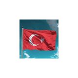 Oysal Bayrak Türk Bayrağı Raşel Kumaş Dijital Baskı 80 x 120 - Renkli - 1 Adet