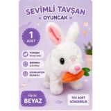 Oyun Kafası Sevimli Tavşan Oyuncak Pille Çalışan Hareketli Peluş Tavşan Yürüyen Sesli Oyuncak