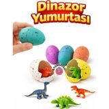 Oyun Kafası Suda Büyüyen Dinozor Yumurtası Oyuncak –3 cm Çatlayan Sürpriz Dinozor Yumurta