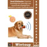 #Oyuncak Dayanıklı Vinil İnteraktif Eğlenceli Isırma Diş Kaşıma Pet Köpek Sesli Oyuncak Tavuk Butu