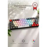 Oyuncu Klavyesi Rgb Işıklı Mekanik Şarjlı Kablosuz Blue Switch Q Klavye Tk11 Beyaz