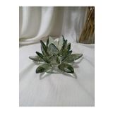 ÖZ KRİSTAL DESİGN 3 No Yeşil Nilüfer Mumluk (15 Cm )