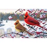 Ozan Tuhafiye Hı Stone 5d Elmas Boncuk Taş Işleme Mozaik Goblen Kit 20X30CM MR26247