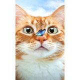Ozan Tuhafiye Hı Stone 5d Elmas Boncuk Taş Işleme Mozaik Goblen Kit 20X30CM MR26277