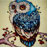 Ozan Tuhafiye Hı Stone 5d Elmas Boncuk Taş Işleme Mozaik Goblen Kit 30X30CM MS20360