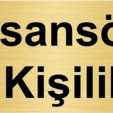Özarslan Dizayn Asansör 10 Kişiliktir 5x20 cm Altın Renk Metal Yönlendirme Levhası