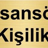 Özarslan Dizayn Asansör 5 Kişiliktir 10x20 cm Altın Renk Metal Yönlendirme Levhası