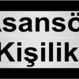 Özarslan Dizayn Asansör 6 Kişiliktir 5x20 cm Gümüş Renk Metal Yönlendirme Levhası