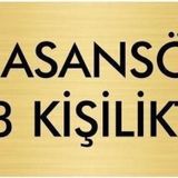 Özarslan Dizayn Departman Kapı İsimliği Asansör 3 Kişiliktir 7x20 cm Altın Renk Metal Yönlendirme Levhası