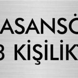 Özarslan Dizayn Departman Kapı İsimliği Asansör 3 Kişiliktir 7x20 cm Gümüş Renk Metal Yönlendirme Levhası