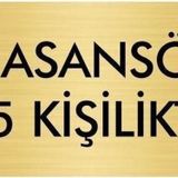 Özarslan Dizayn Departman Kapı İsimliği Asansör 5 Kişiliktir 5x20 cm Altın Renk Metal Yönlendirme Levhası