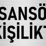 Özarslan Dizayn Departman Kapı İsimliği Asansör 6 Kişiliktir 7x20 cm Gümüş Renk Metal Yönlendirme Levhası