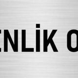 Özarslan Dizayn Departman Kapı İsimliği Güvenlik Odası 5x20 cm Gümüş Renk Metal Yönlendirme Levhası