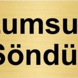 Özarslan Dizayn Departman Kapı İsimliği Lüzumsuzsa Söndür 7x20 cm Altın Renk Metal Yönlendirme Levhası