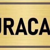 Özarslan Dizayn Departman Kapı İsimliği Müracaat 10x20 cm Altın Renk Metal Yönlendirme Levhası
