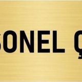 Özarslan Dizayn Departman Kapı İsimliği Personel Çıkışı 5x20 cm Altın Renk Metal Yönlendirme Levhası