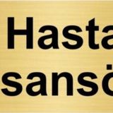 Özarslan Dizayn Hasta Asansörü 10x20 cm Altın Renk Metal Yönlendirme Levhası