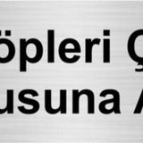 Özarslan Dizayn Lütfen Çöpleri Çöp Kutusuna Atınız 10x20 cm Gümüş Renk Metal Yönlendirme Levhası